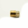 Thrifco Plumbing 1/2 Brass Plug Barstock 5316092